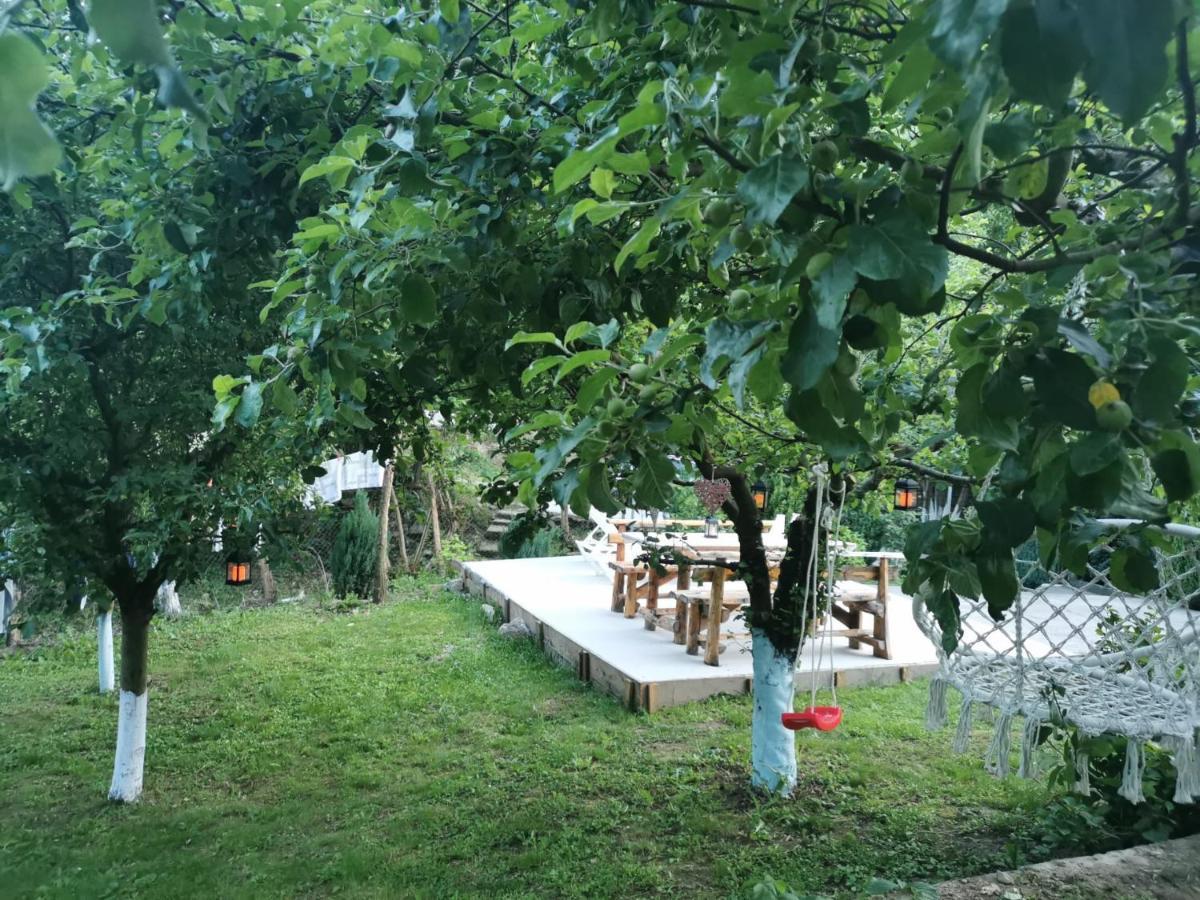 Casa Noastra Hotel Orşova Екстериор снимка